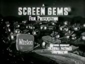 Screen Gems Television (1962)