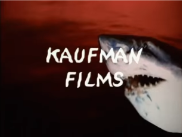 Kaufman Films (2006)